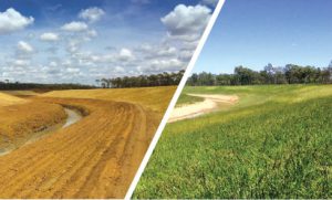 envirostraw before and after of land