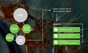 BioGrowth-Diagram