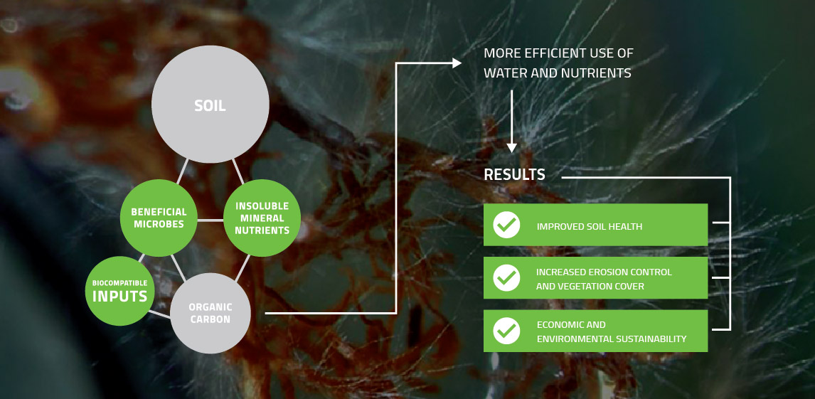 BioGrowth Diagram