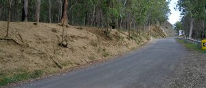 EnviroMatrix BinnaBurra fire rehab project 3