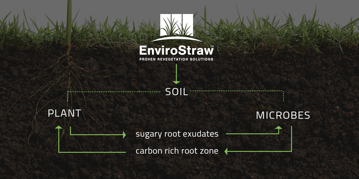 EnviroStraw soil balancing