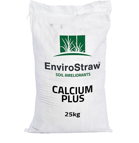 calcium plus product