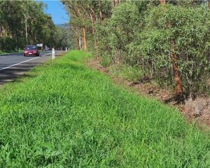 Envirostraw Case Study Aratula QLD