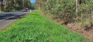 Envirostraw Case Study Aratula QLD