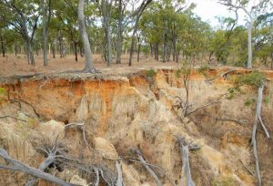 Carbon levels in soil