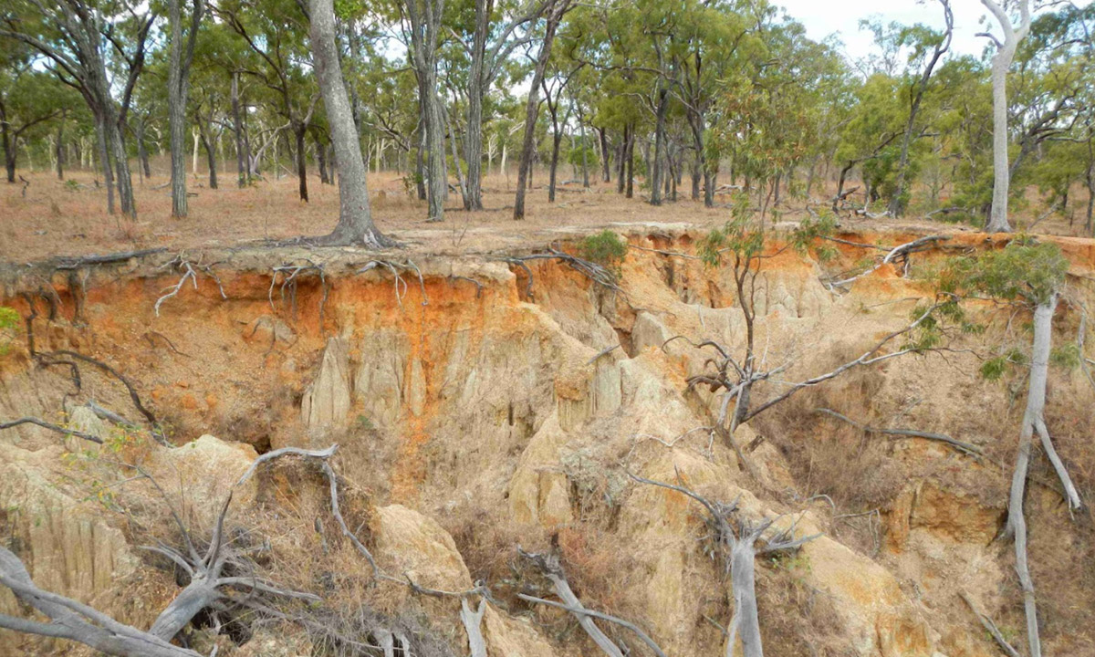 Carbon levels in soil