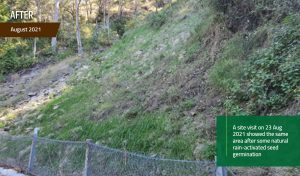 EnviroStraw Case Study Lamington National Park, QLD