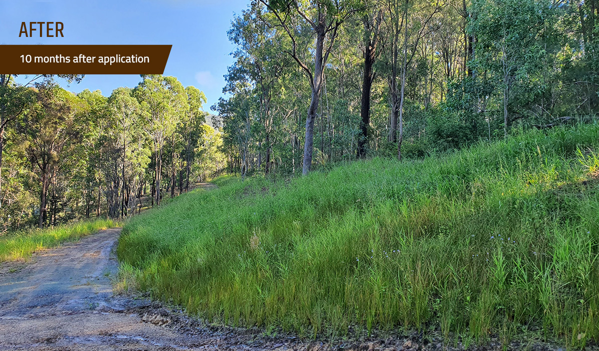 Gain environmental credits by reducing your carbon emissions and water use on site