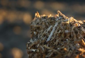 hydromulch close up